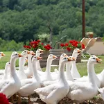 Casa vacanze La Capanna Montespertoli
